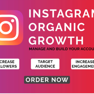 Instagram Organic Growth Service - Package 9